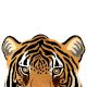 Rug Hand Tufted Woolen Tiger Face Rug